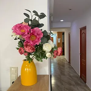 Center And Hostal Budapest